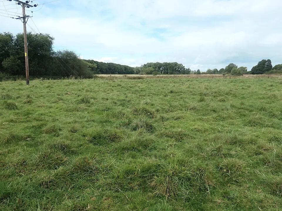 Pasturefields Saltmarsh