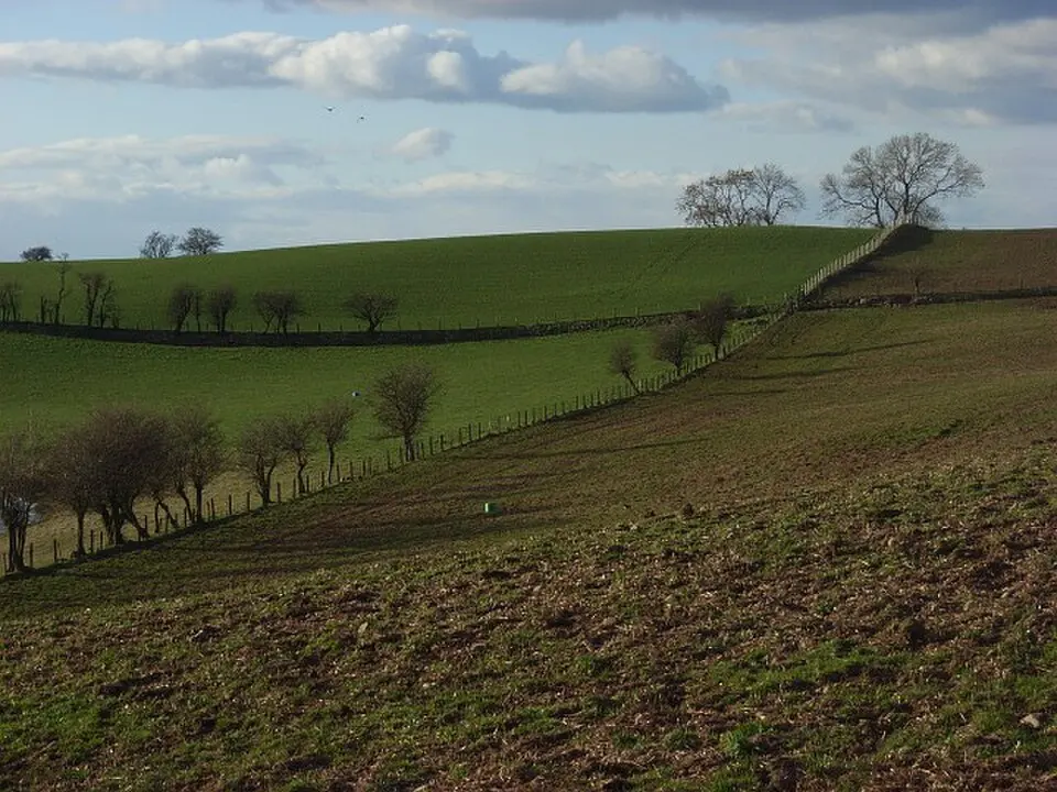 Carlatton
