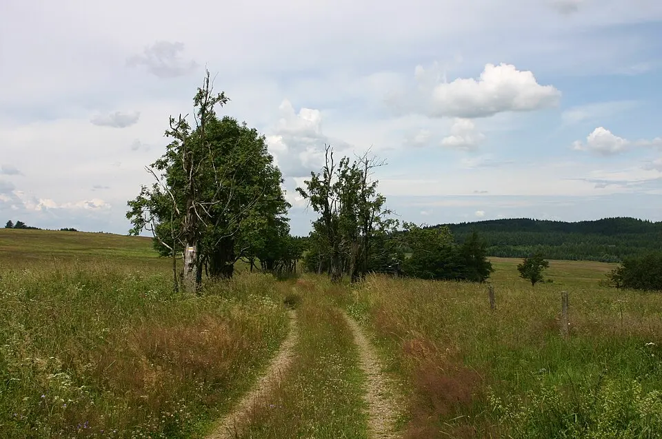 Bild: Hadonos · Public domain Steinkuppe