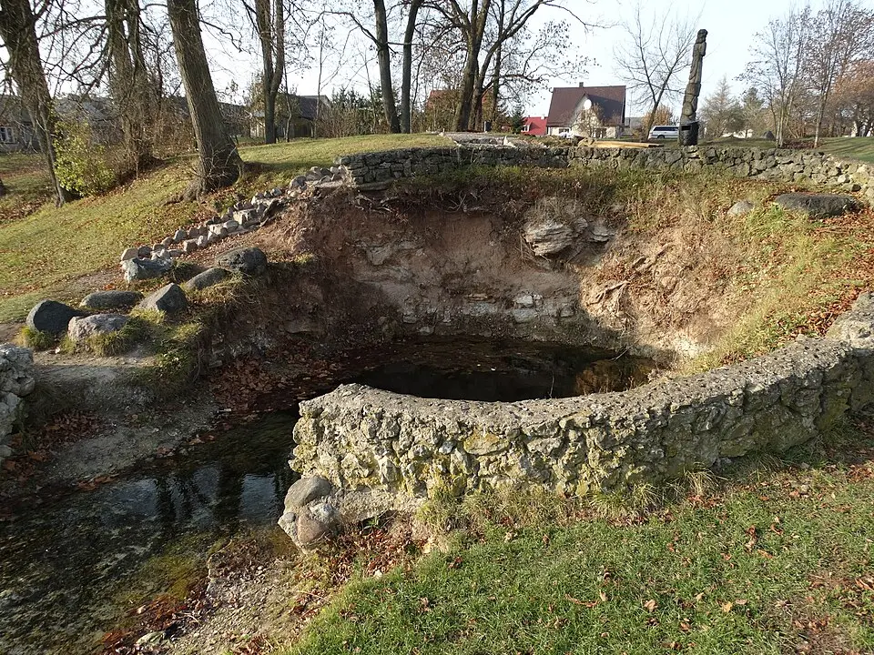 Zalsvasis spring