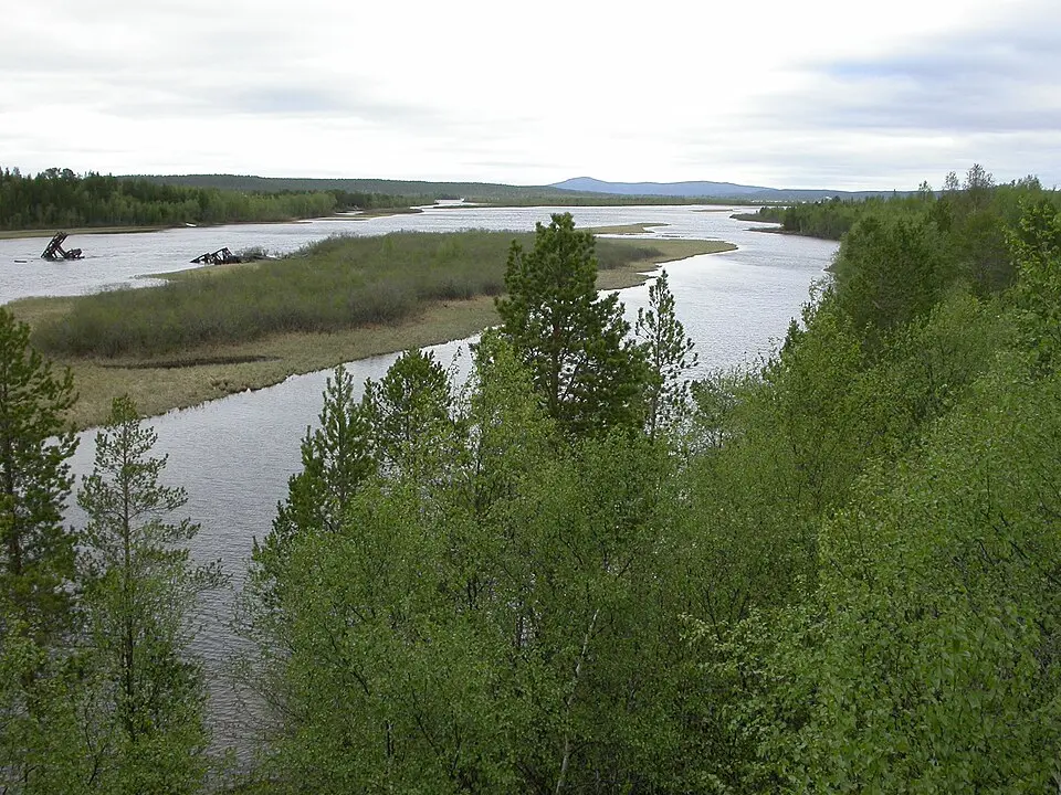 Naturreservat Pasvik