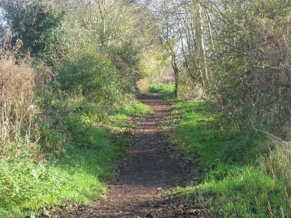 Image: Johnlp · CC BY-SA 3.0 Wansdyke: section 1230yds (1120m) eastwards from Burnt House Inn