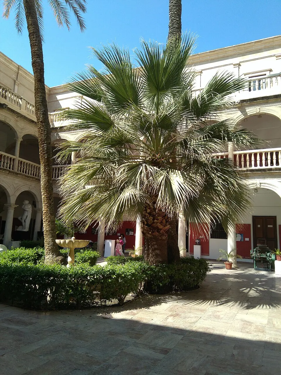 Escuela de Arte y Superior de Diseño Carlos Pérez Siquier