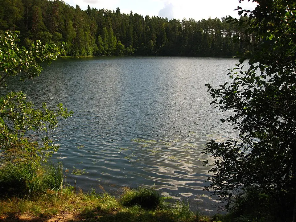 Paukjärv