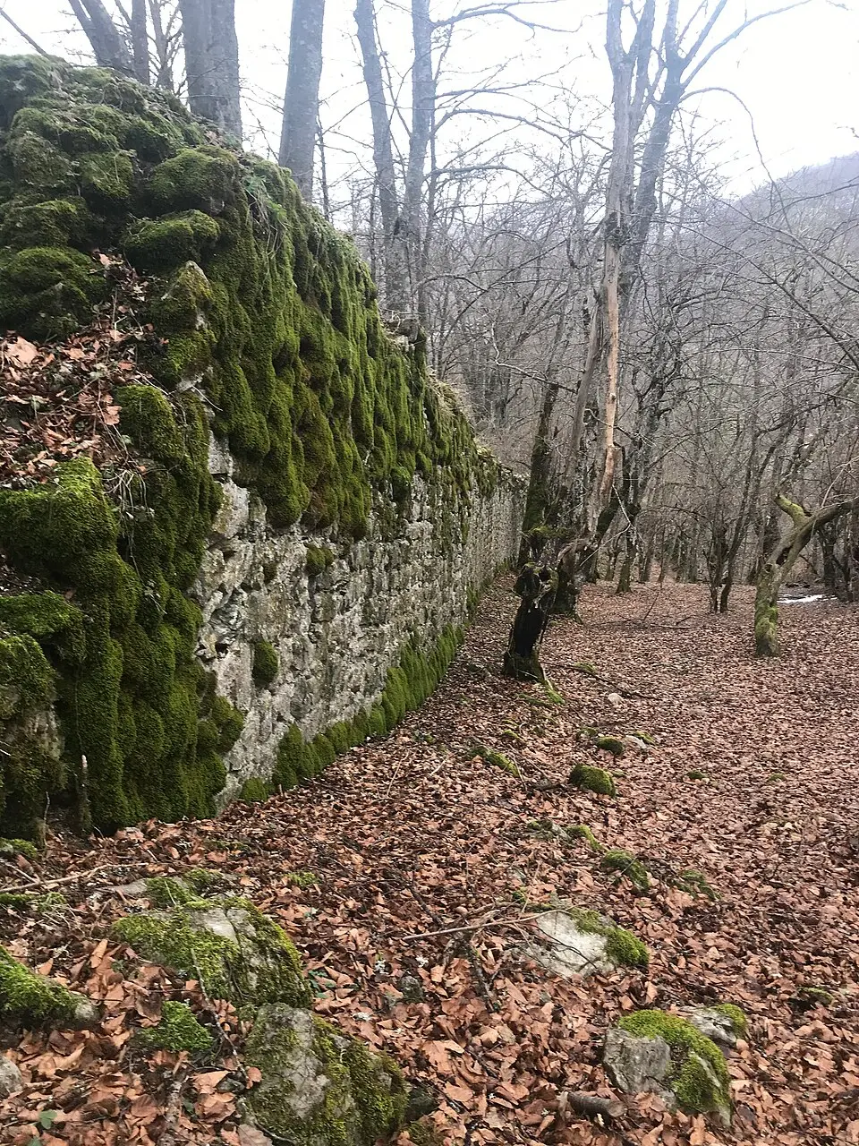 Pavlovac
