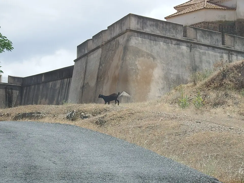 Castillo