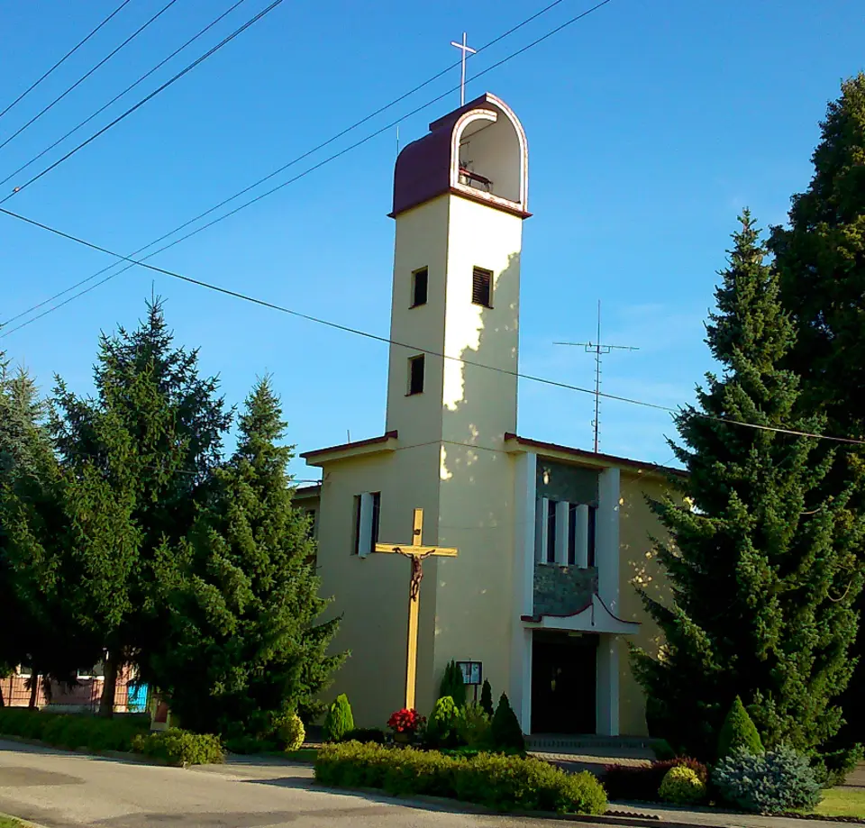 Pázsit