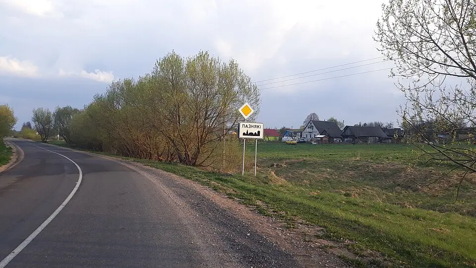 Пазьнякі