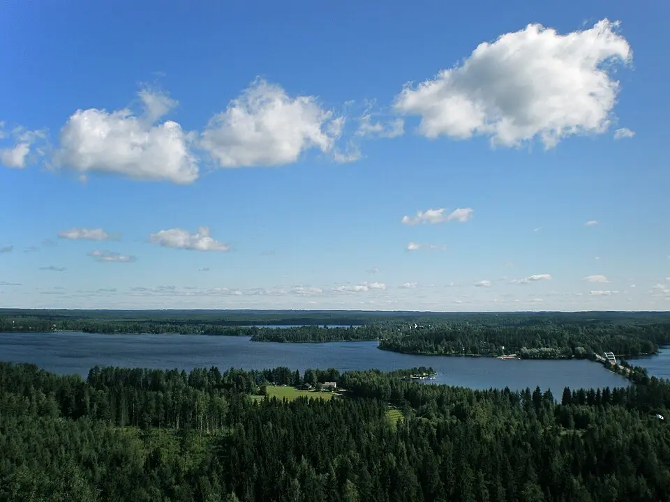 Saarijärvi-Viitasaari