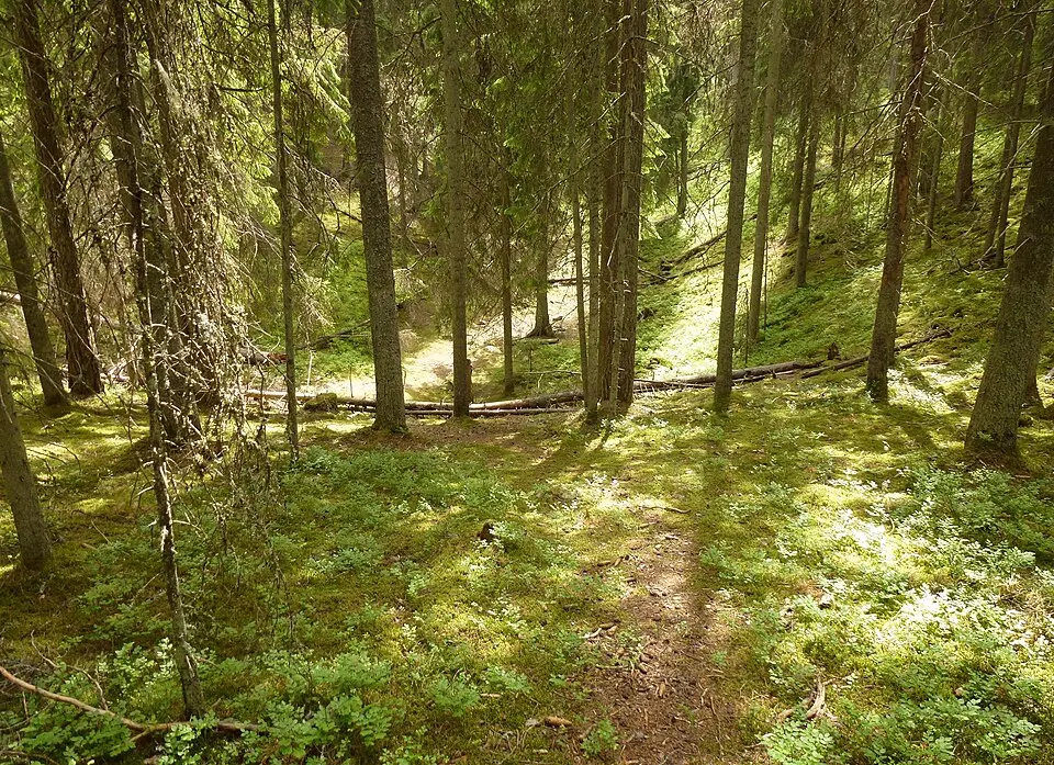 Pålamalm