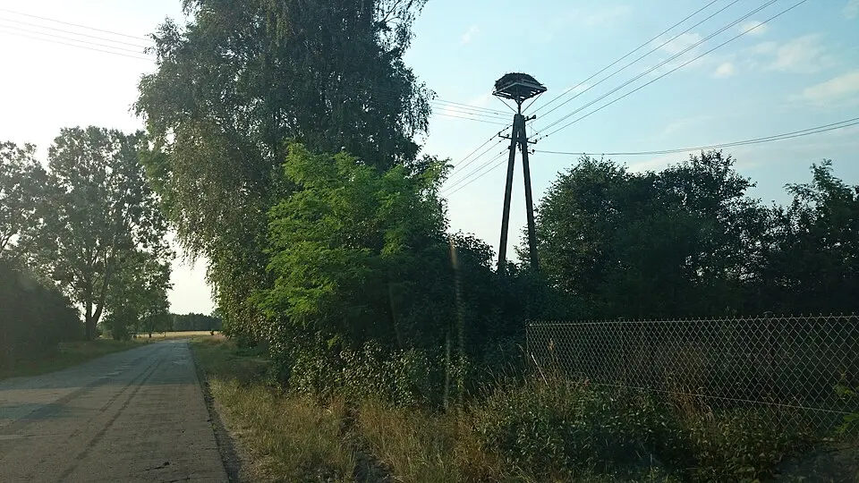 Pólka-Raciąż