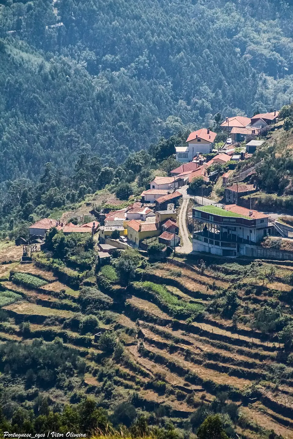 Cepelos