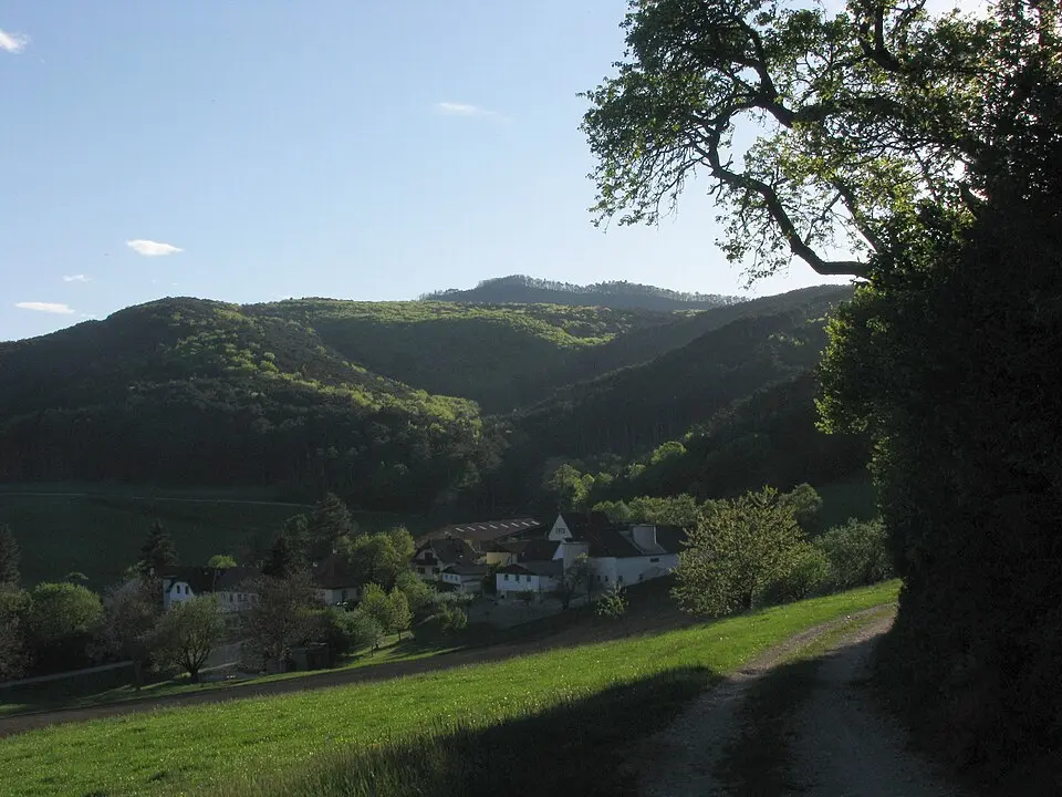 Waxeneck