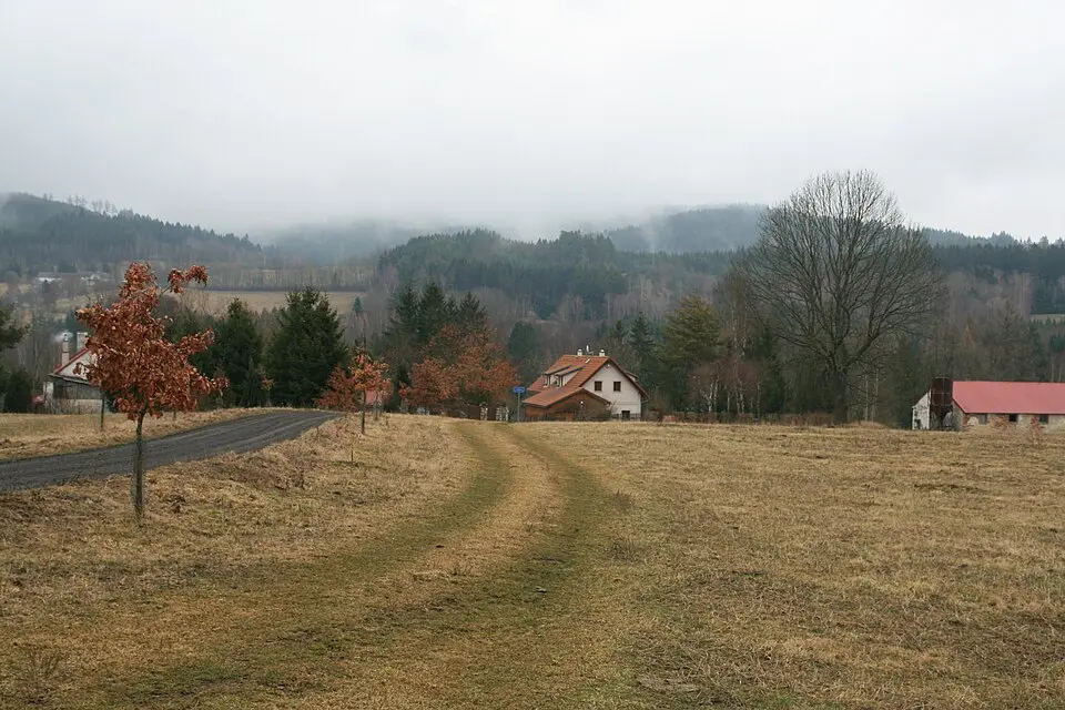 Dubová