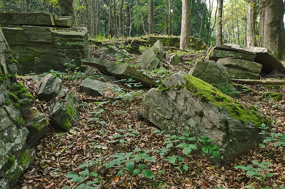 Immagine: Jiří Komárek · CC BY-SA 4.0 Sýkoř