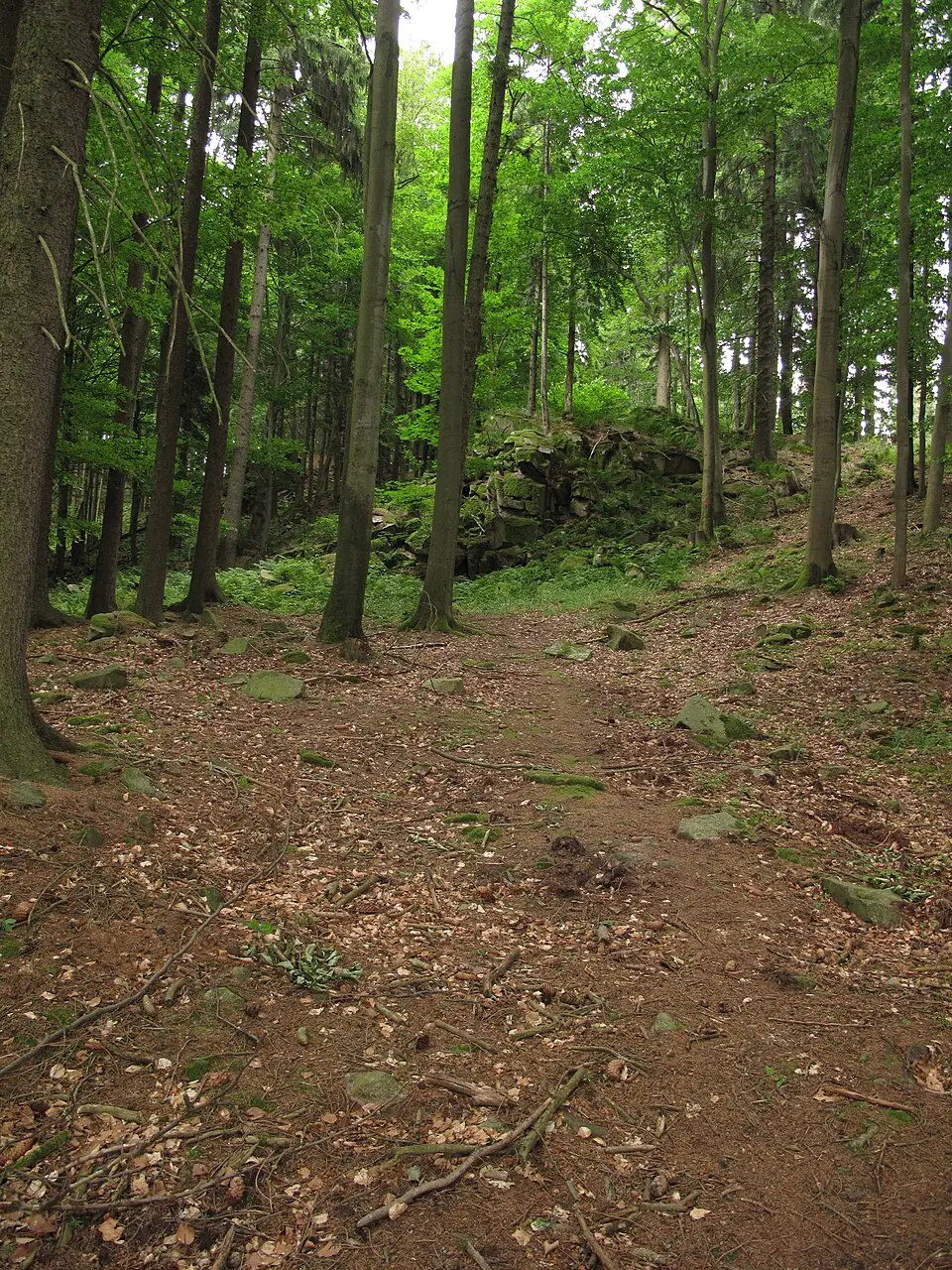 Přední skála