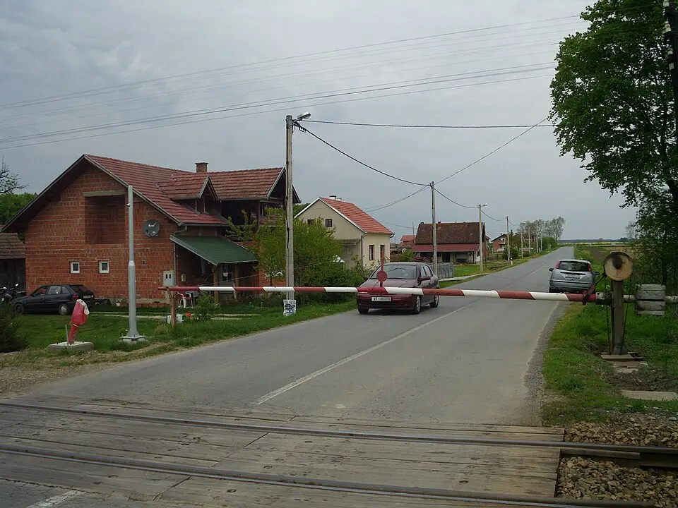 Pčelić