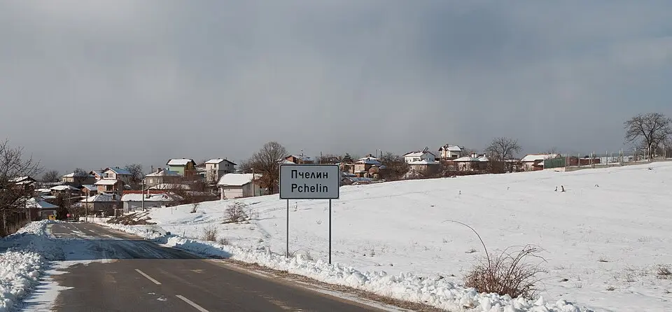 Пчелин