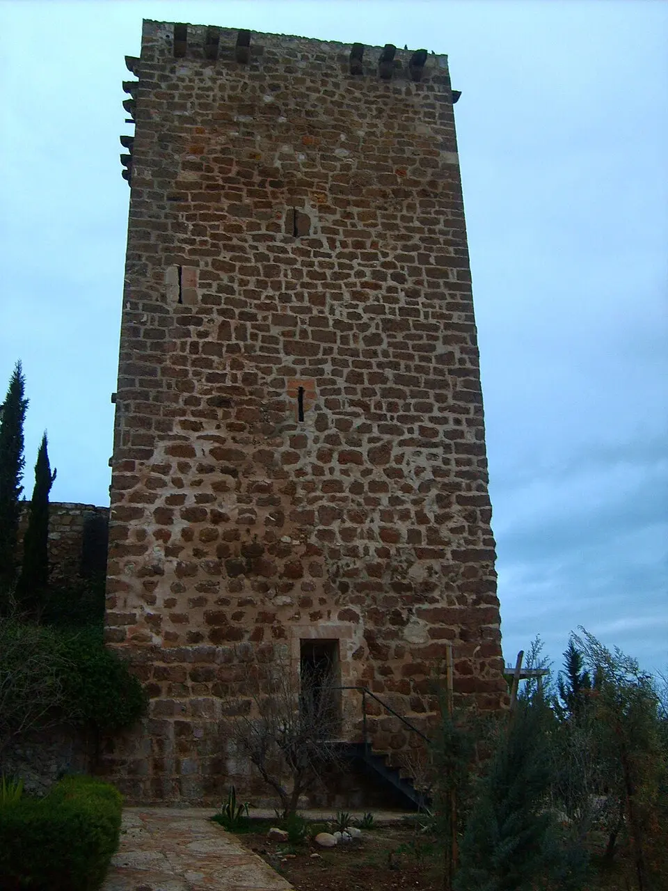 Torre Mocha