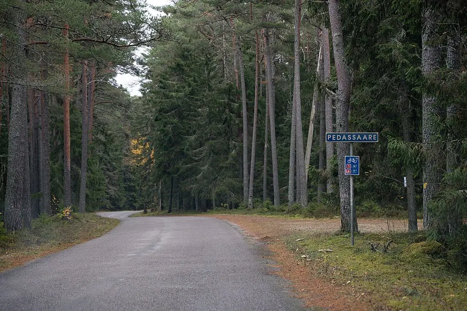 Pedassaare