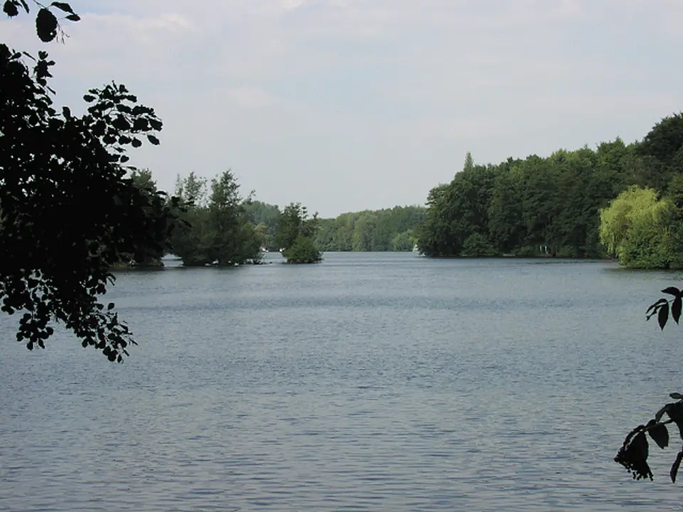 Hariksee