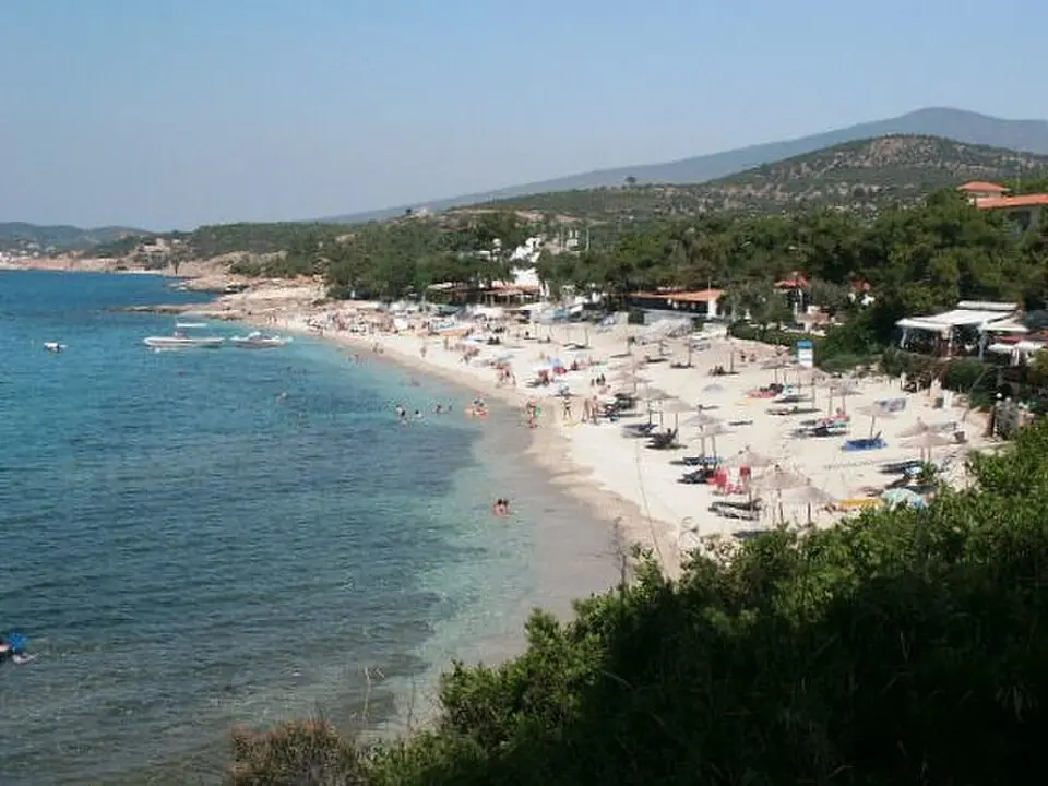 Πευκάρι Θάσου