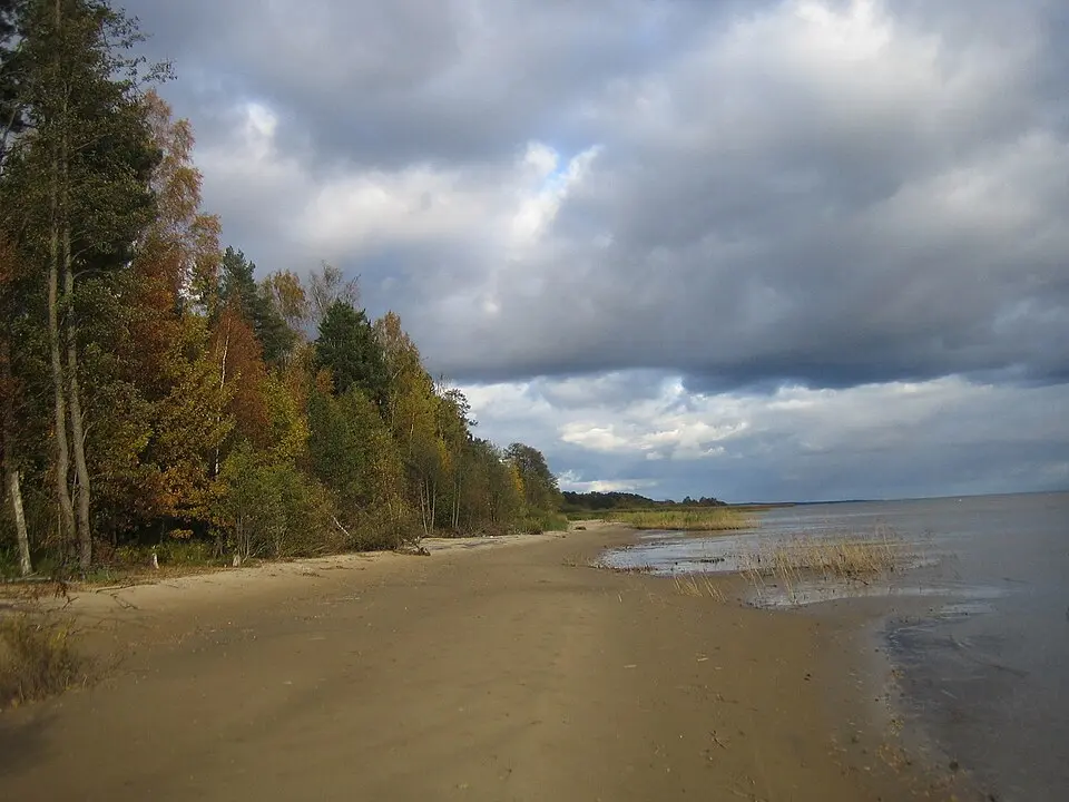 Rannapungerja