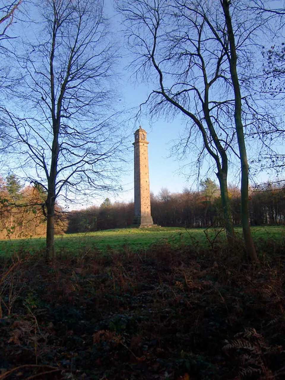 Pelham's Pillar