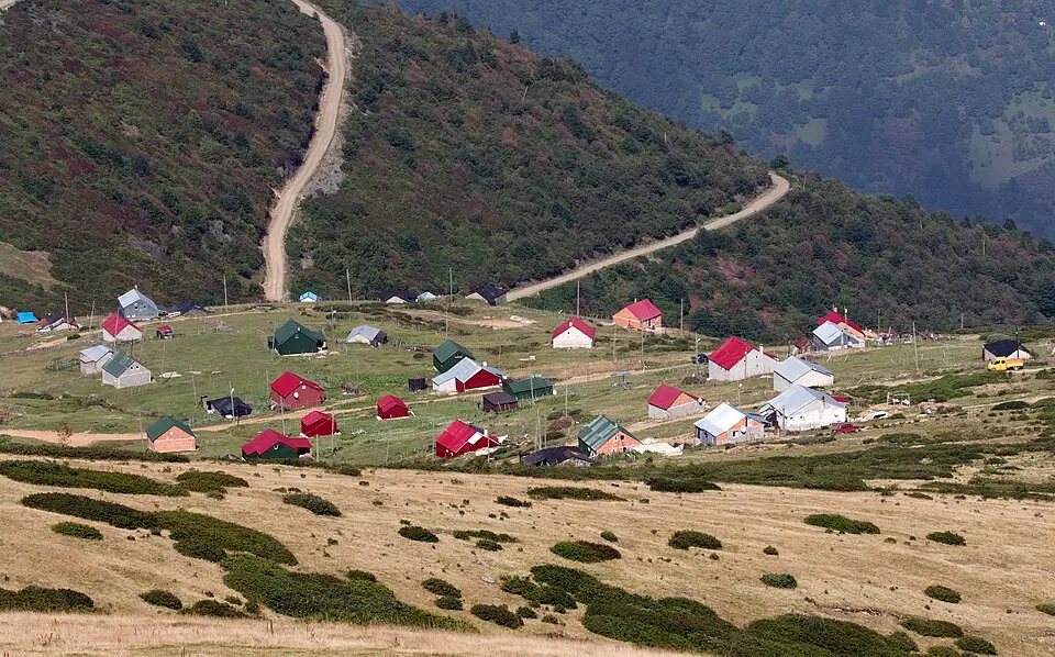 Pelitçik