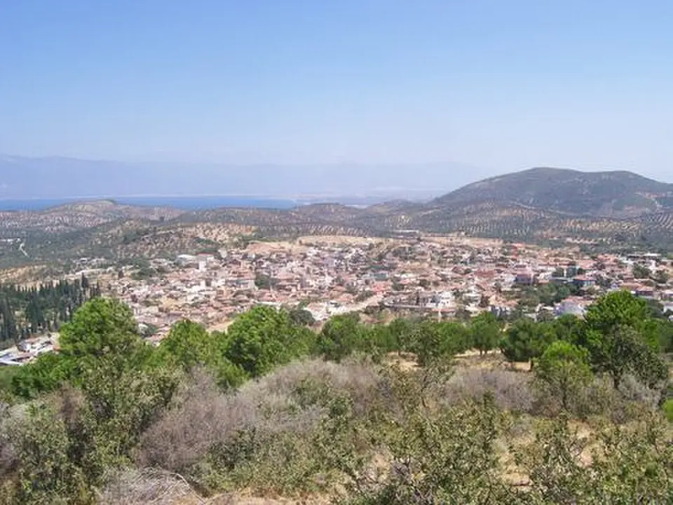 Pelitköy