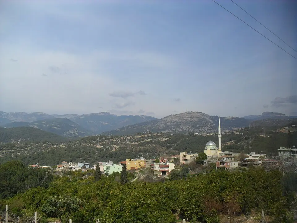 Pelitkoyağı