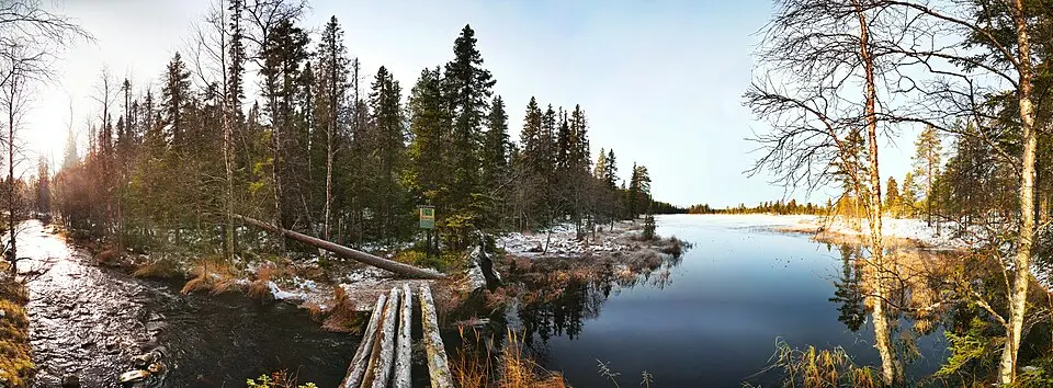 Pellobäcken domänreservat