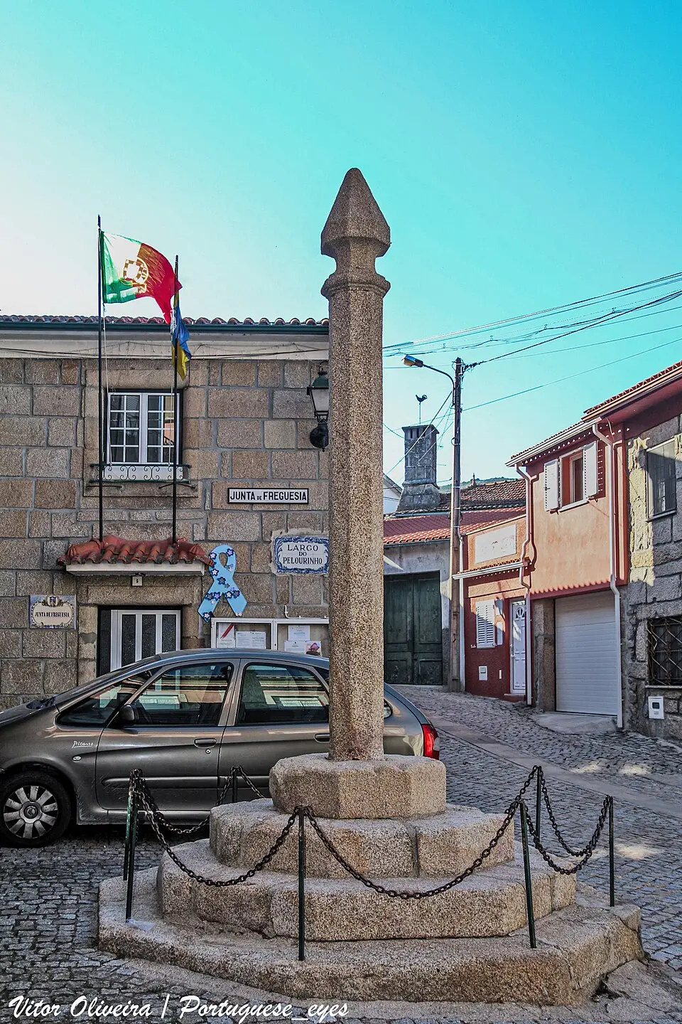 Abrunhosa-a-Velha