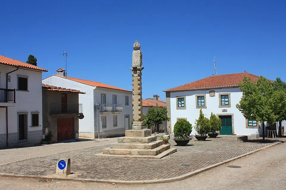 Algoso, Campo de Víboras e Uva