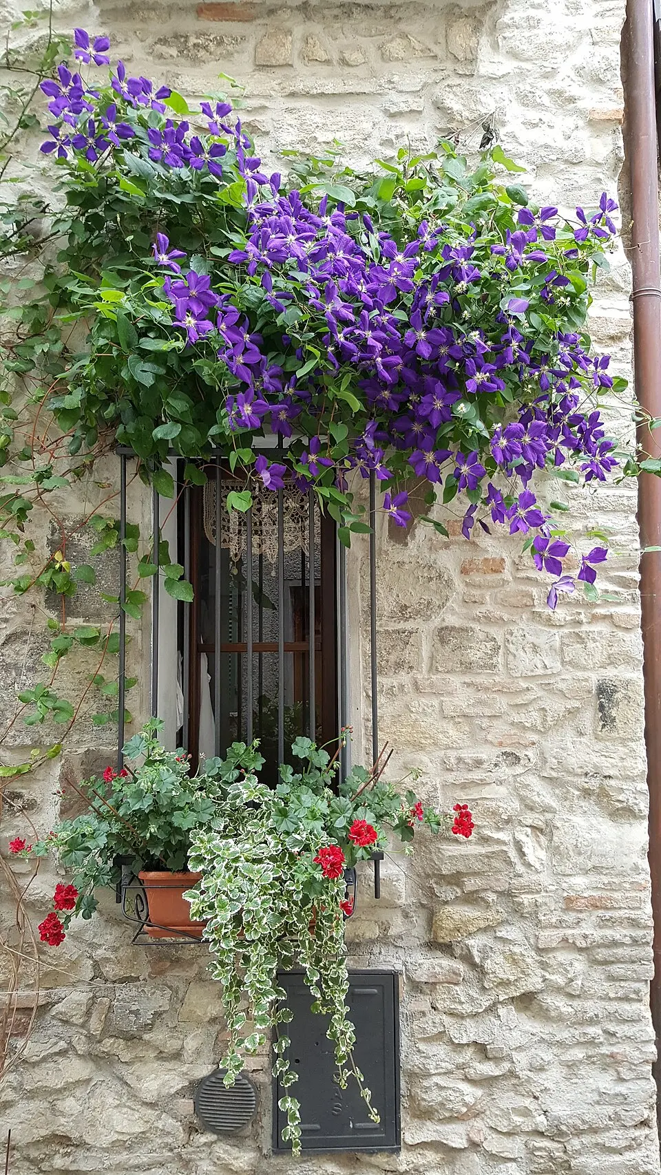 palazzo del Bargello