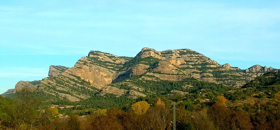 Penyagalera