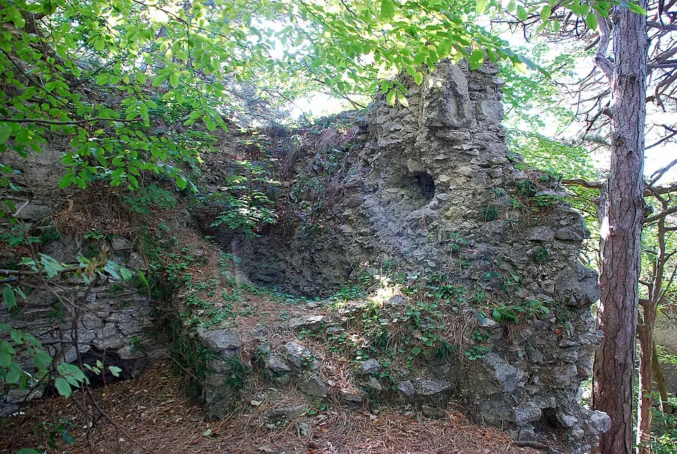 Burgruine Kammerstein