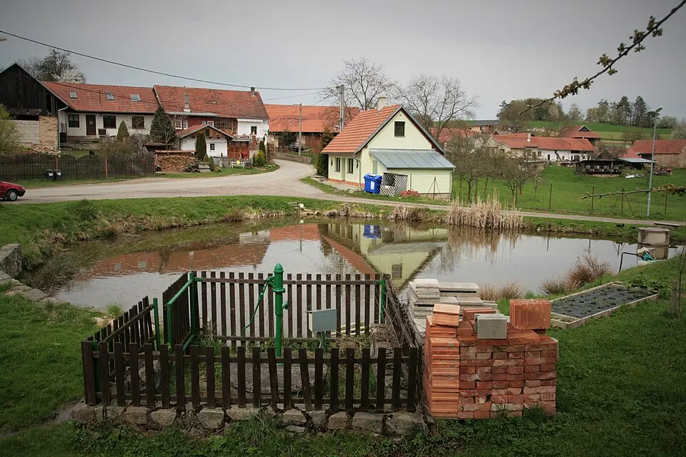 Obrázek: Martin Strachoň · CC BY-SA 4.0 Pernštejnské Jestřabí