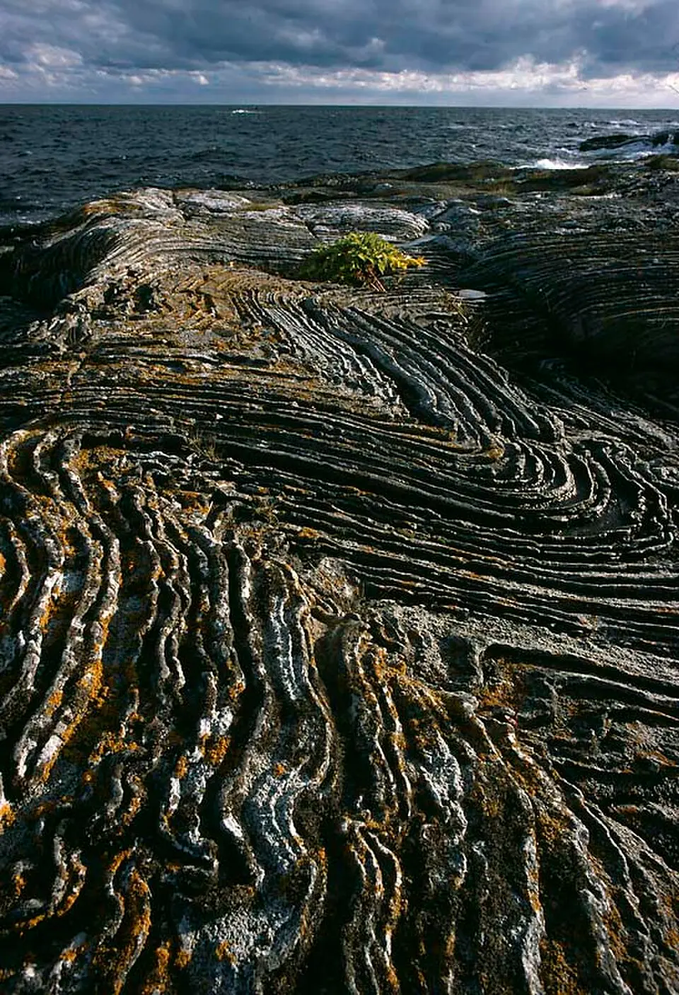 Persö