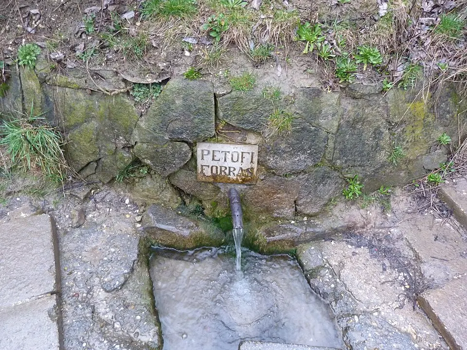 Slika: Derzsi Elekes Andor · CC BY-SA 3.0 Bag, Madžarska