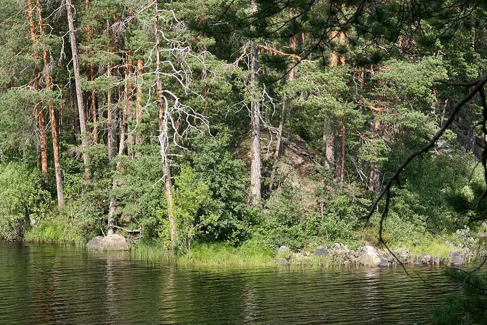 Joensuun seutukunta