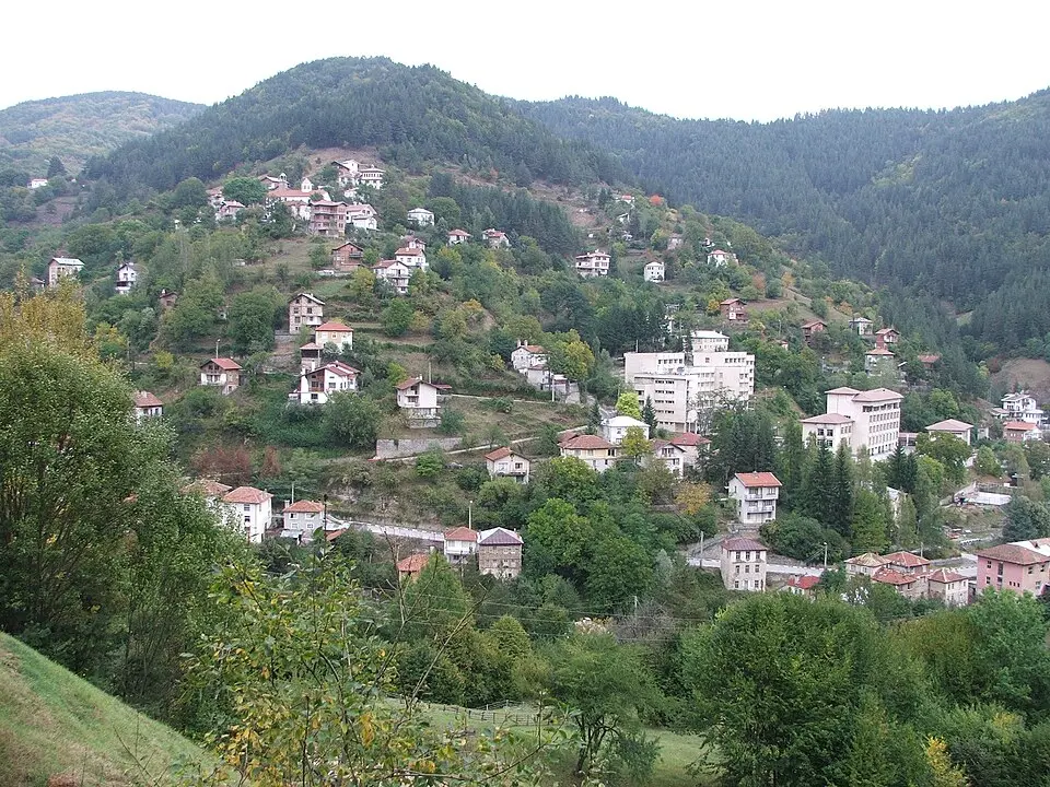 Petkovo