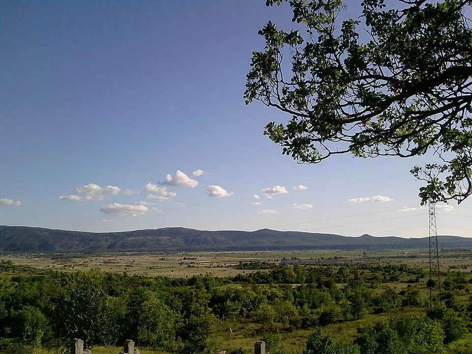 Petrovo-mező