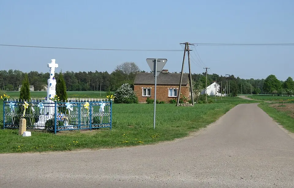 Petrykozy