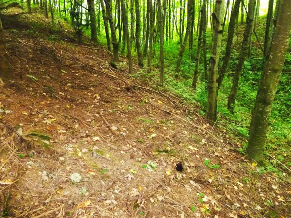 Obrázek: Luckyprof (Luckyprof (talk)) · CC BY-SA 3.0 AT Burgstall Antiesenberg