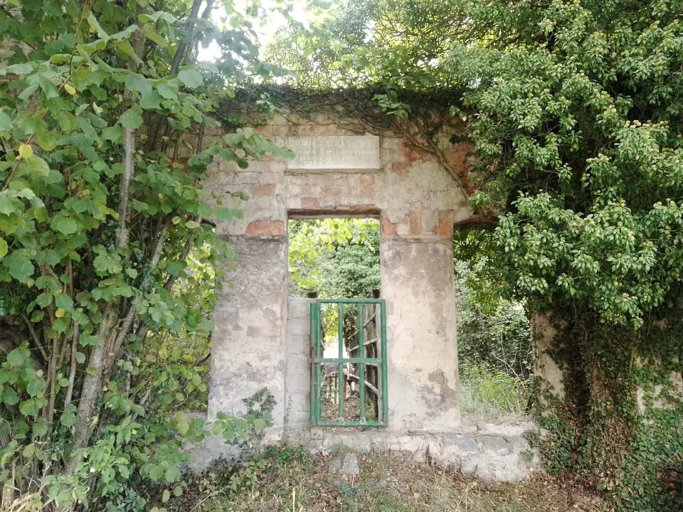 Añes