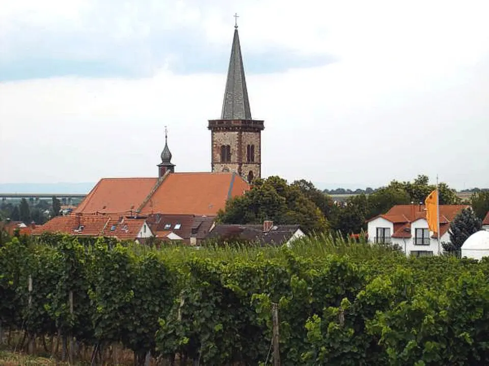 Pfeddersheim