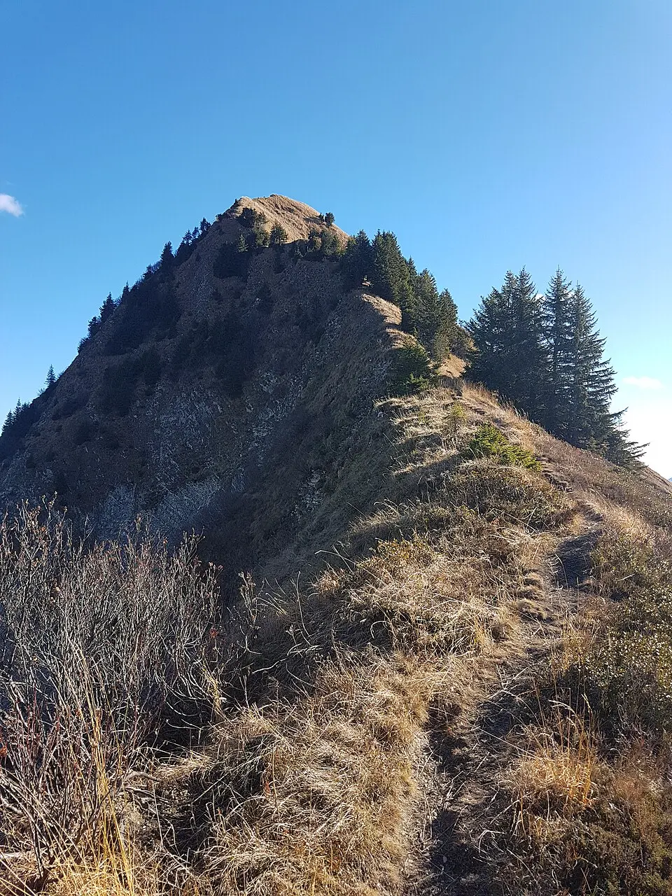 Pfrondhorn