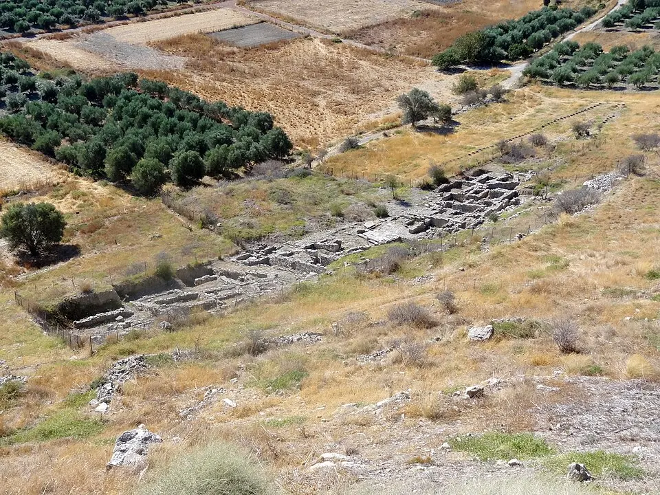 Chalara South
