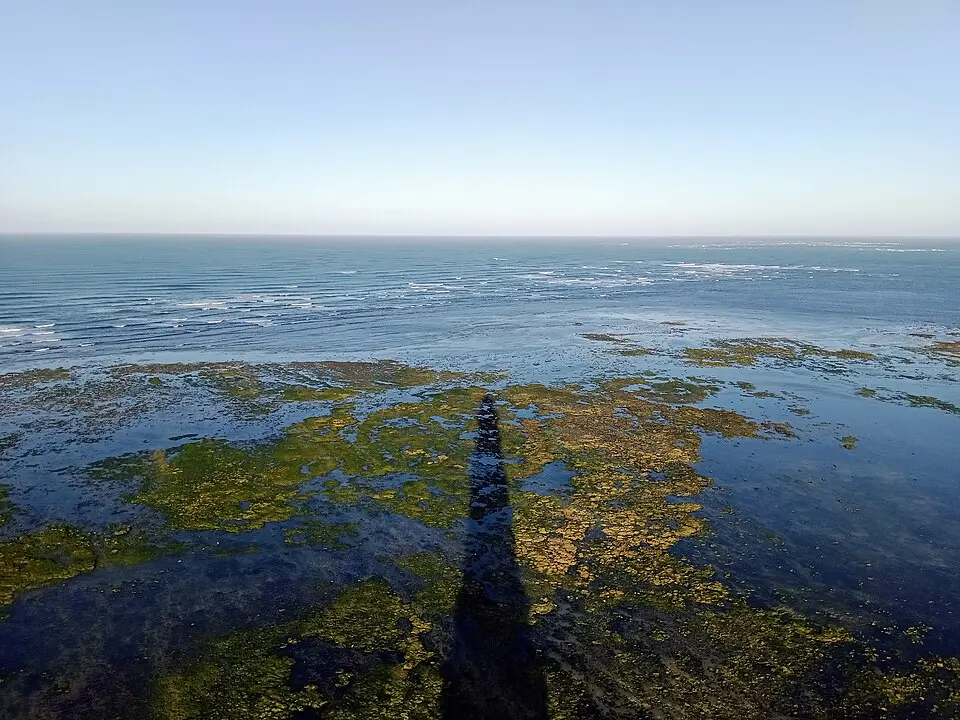 plateau de Cordouan